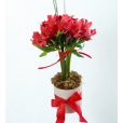 Topearia de Altroemérias!