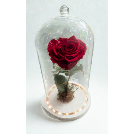 Rosa Encantada Vermelha - Cúpula de Vidro - Luz de Fada