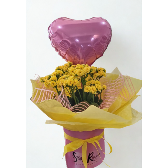 Calandiva Box + Balão Coração 