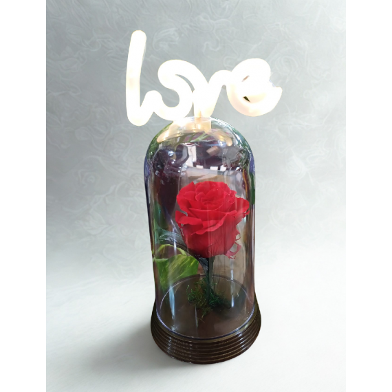 Rosa Encantada Vermelha  love