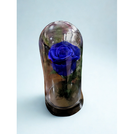 Rosa Encantada Azul 