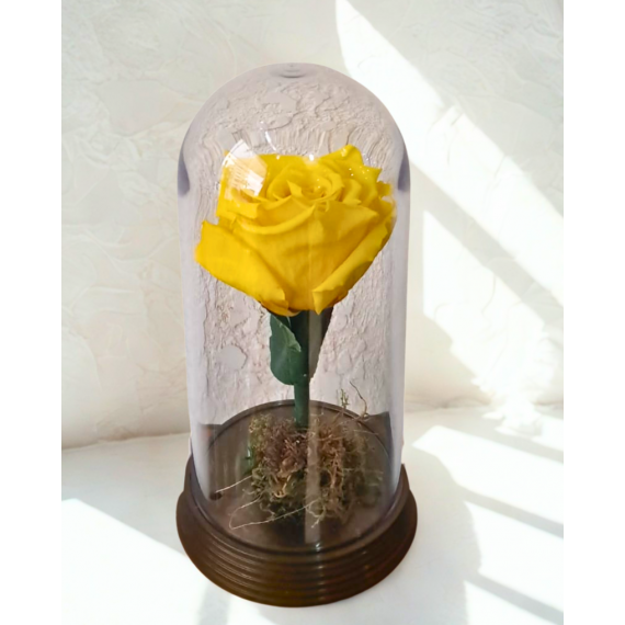 Rosa Encantada Amarela 