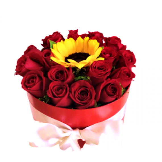 Sun Love - Rosas Importadas
