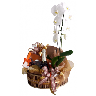 ORQUÍDEA + CHANDON + LA CREME