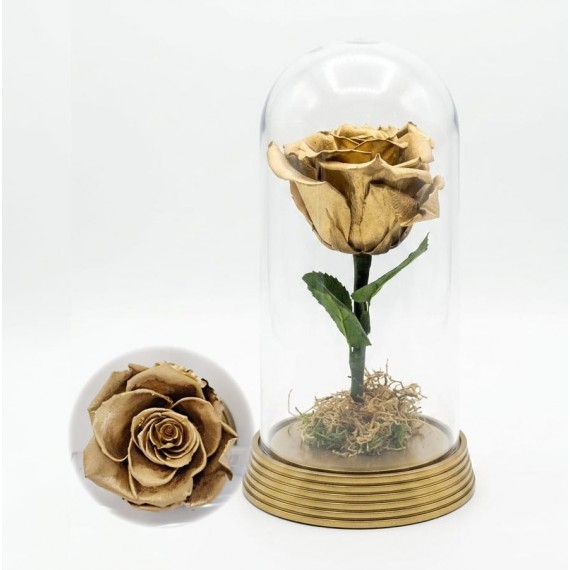 Rosa Encantada Dourada 