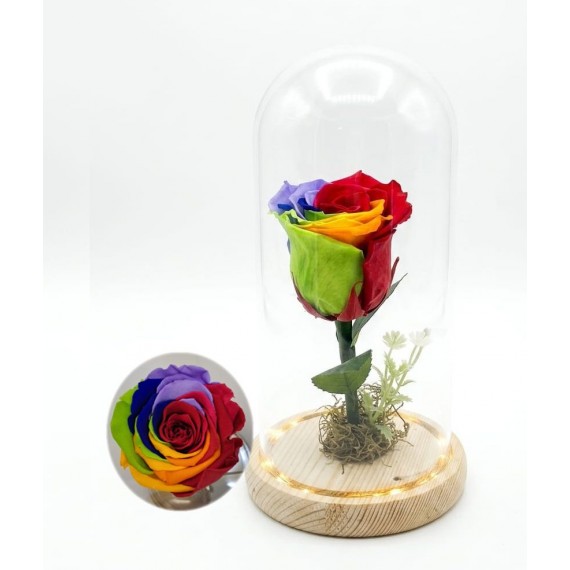 Rosa Encantada Arco Iris - Cúpula de Vidro - Luz de Fada