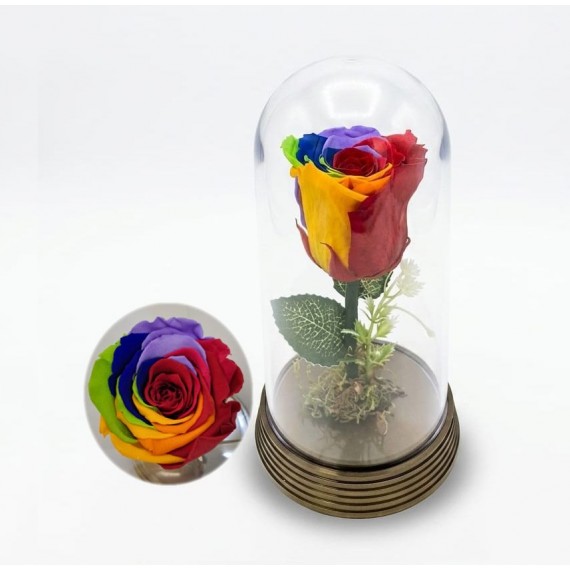 Rosa Encantada Arco Iris