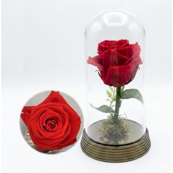 Rosa Encantada Vermelha
