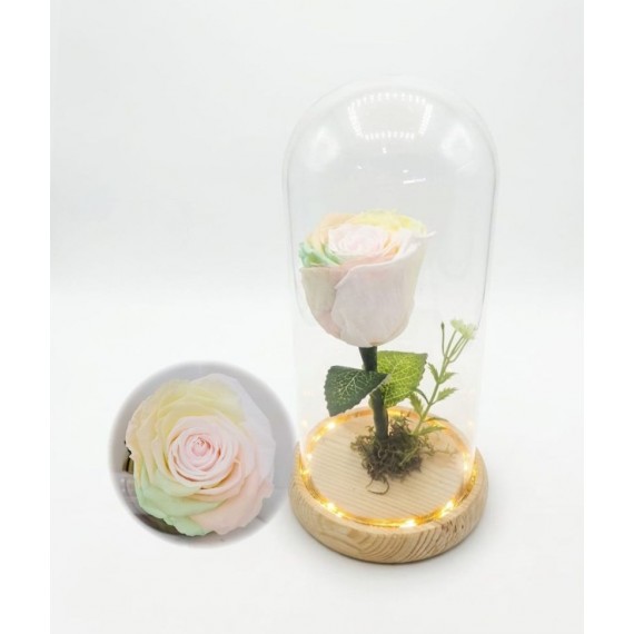 Rosa Encantada Arco Iris Pastel - Cúpula de Vidro - Luz de Fada