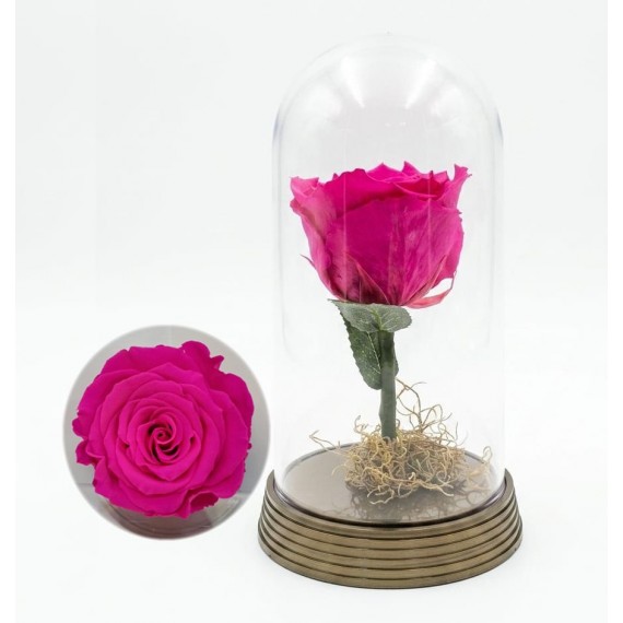 Rosa Encantada Pink