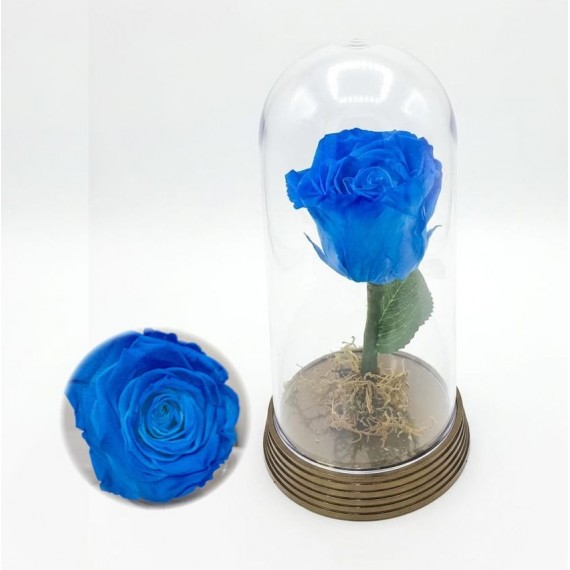 Rosa Encantada Azul 