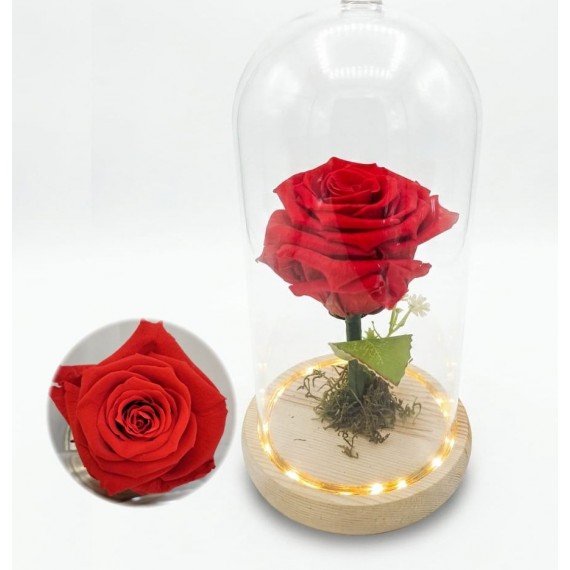 Rosa Encantada Vermelha - Cúpula de Vidro - Luz de Fada