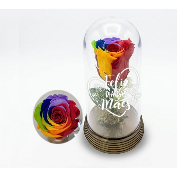 Rosa Encantada arco iris - DIA DAS MÃES