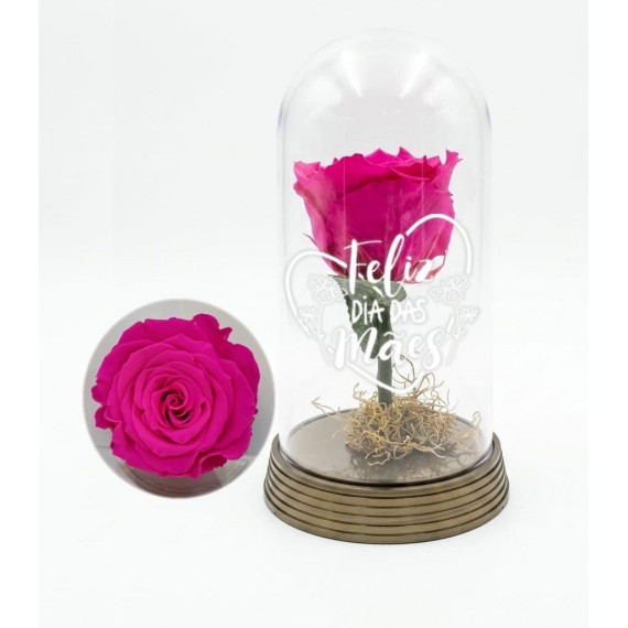 Rosa Encantada PINK - DIA DAS MÃES